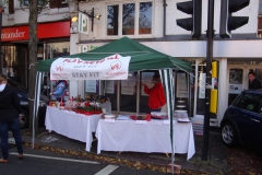 Winter Carnival January 2012